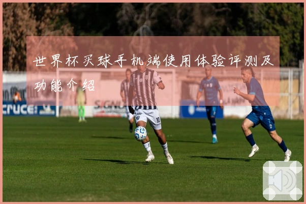 世界杯买球手机端使用体验评测及功能介绍