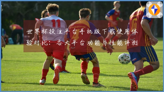 世界杯投注平台手机版下载使用体验对比：各大平台功能与性能评测分析