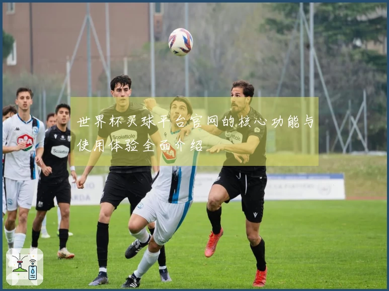 世界杯买球平台官网的核心功能与使用体验全面介绍
