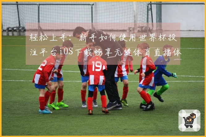 轻松上手:新手如何使用世界杯投注平台iOS下载畅享无缝体育直播体验