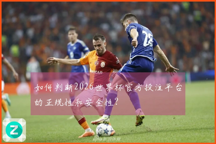 如何判断2026世界杯官方投注平台的正规性和安全性?