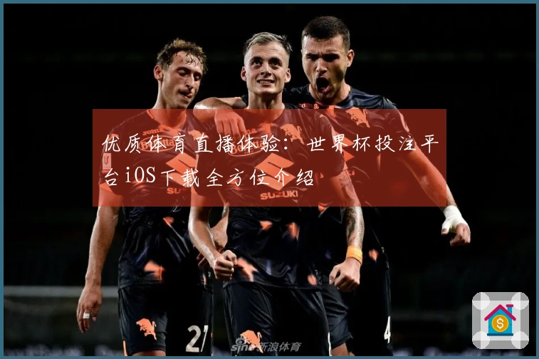 优质体育直播体验：世界杯投注平台iOS下载全方位介绍