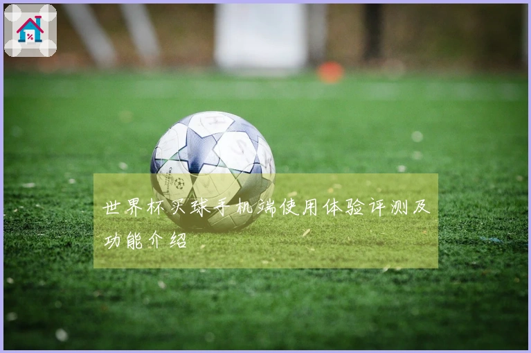 世界杯买球手机端使用体验评测及功能介绍