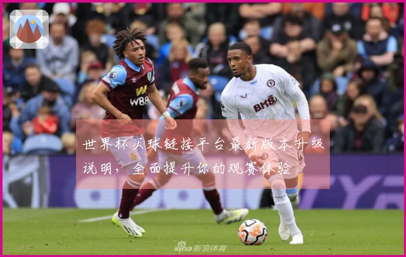 世界杯买球链接平台最新版本升级说明，全面提升你的观赛体验