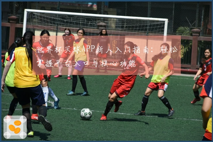 世界杯买球APP新人入门指南：轻松掌握平台入口与核心功能