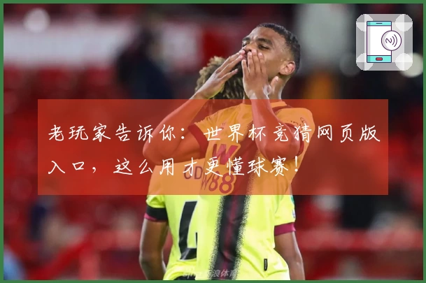 老玩家告诉你:世界杯竞猜网页版入口,这么用才更懂球赛!